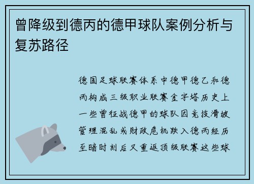 曾降级到德丙的德甲球队案例分析与复苏路径